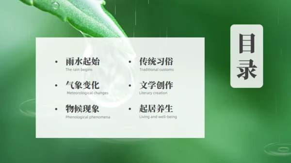 雨水绿色露水背景通用PPT模板