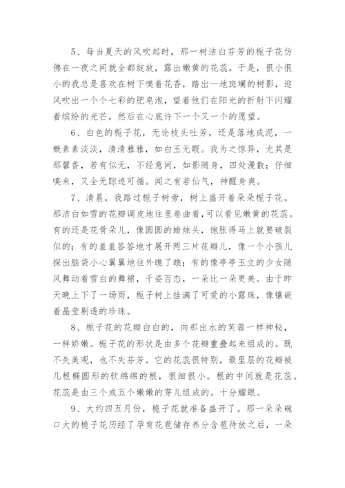 描写栀子花的优美段落.docx