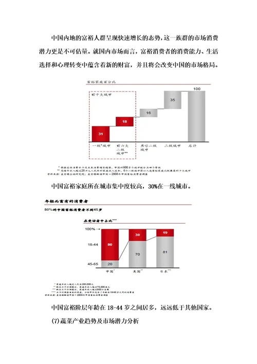 高端农产品蔬菜市场调研及营销策划方案DOC30模板