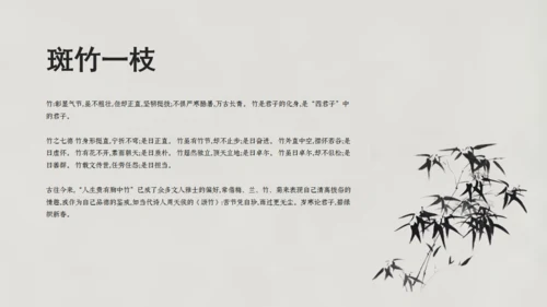 清雅文竹韵中国风通用PPT模板