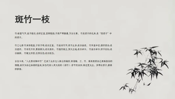 清雅文竹韵中国风通用PPT模板