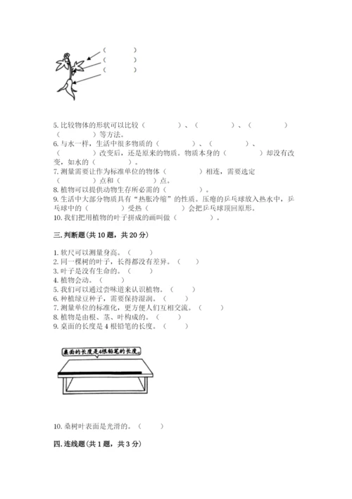 教科版一年级上册科学期末测试卷【达标题】.docx