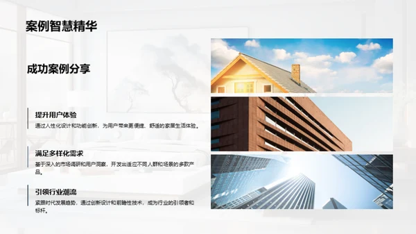 家居新品战略解析