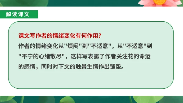 绿色小清新语文初一荷叶母亲课件PPT模板