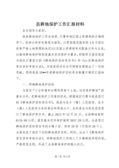 县耕地保护工作汇报材料.docx