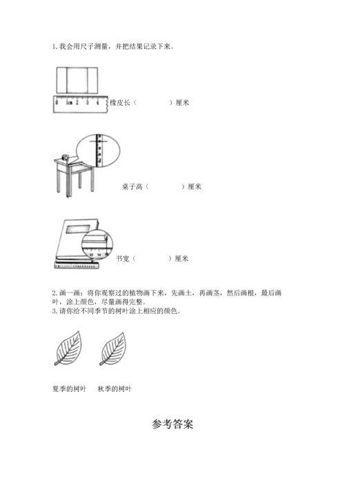 教科版一年级上册科学期末测试卷及下载答案.docx