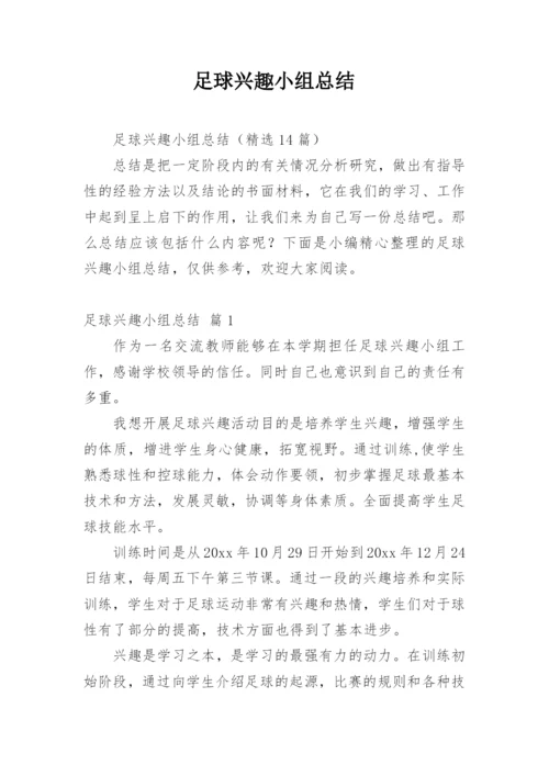 足球兴趣小组总结.docx