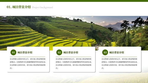 绿色简约农业发展乡村振兴PPT模板