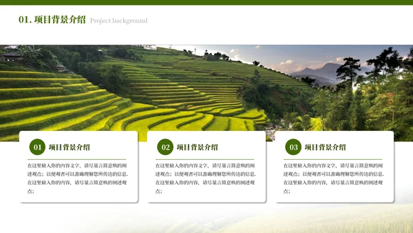 绿色简约农业发展乡村振兴PPT模板
