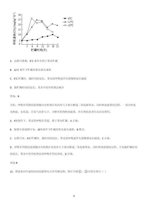 人教版2023初中生物七年级上册第三单元生物圈中的绿色植物重点归纳笔记.docx