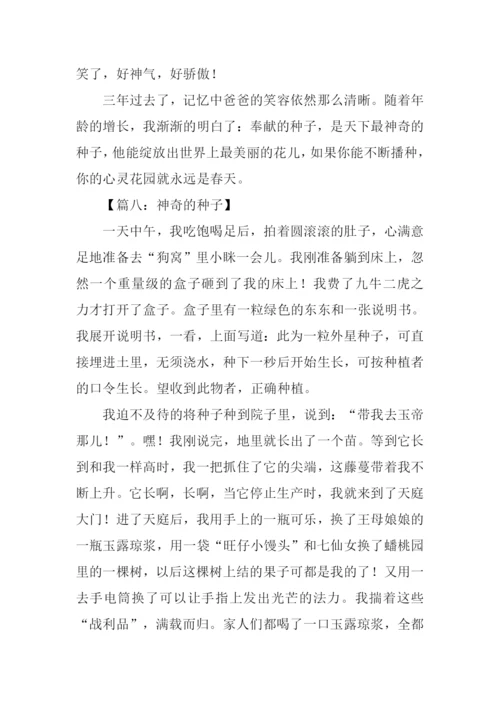 神奇的种子作文.docx