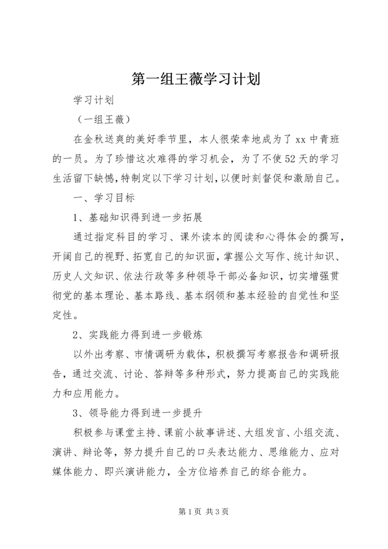 第一组王薇学习计划.docx