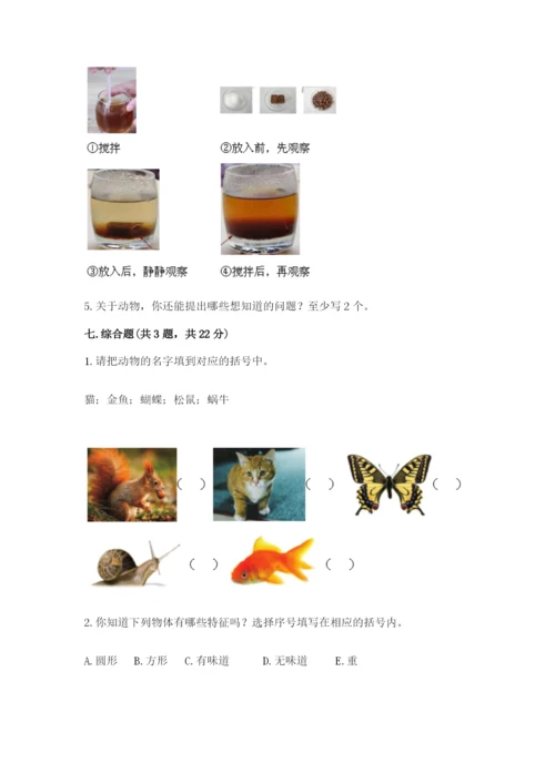 教科版一年级下册科学期末测试卷附参考答案（达标题）.docx
