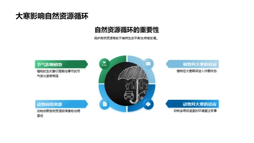 大寒气候与环保策略