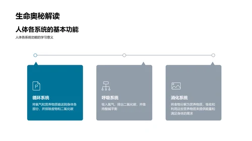 解剖学教学深度解析PPT模板