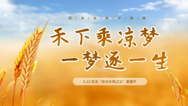 黄色实拍稻穗522纪念杂交水稻之父袁隆平主题班会PPT纪念袁隆平