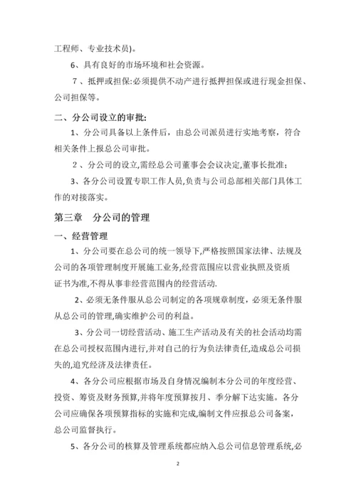 分公司管理制度.docx