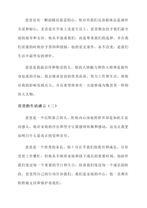 爸爸的生活感言
