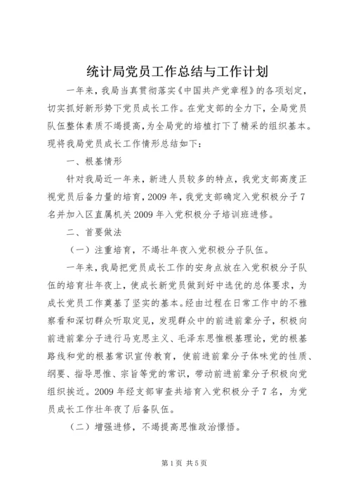 统计局党员工作总结与工作计划.docx