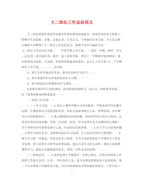 精编之大二班长工作总结范文.docx