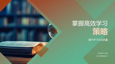 掌握高效学习策略