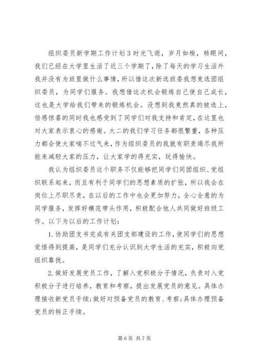组织委员20XX年工作计划.docx