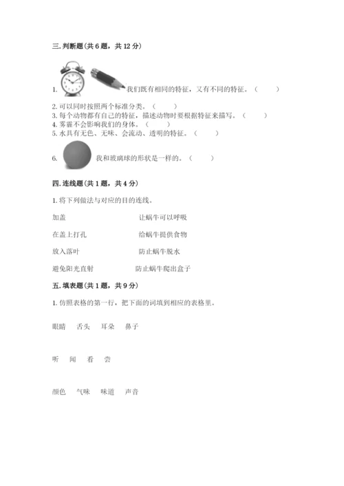 教科版小学科学一年级下册期末测试卷（突破训练）.docx