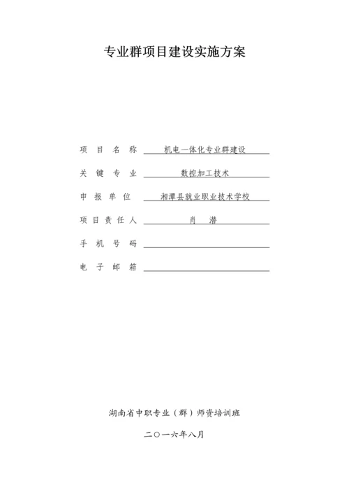 专业群优质项目建设实施专业方案.docx