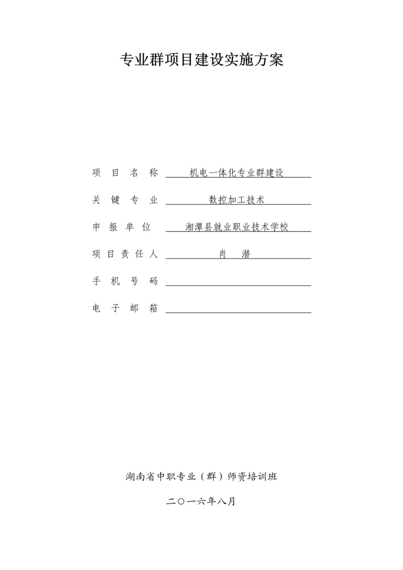 专业群优质项目建设实施专业方案.docx