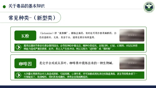 国际禁毒日珍爱生命远离禁毒教育模板