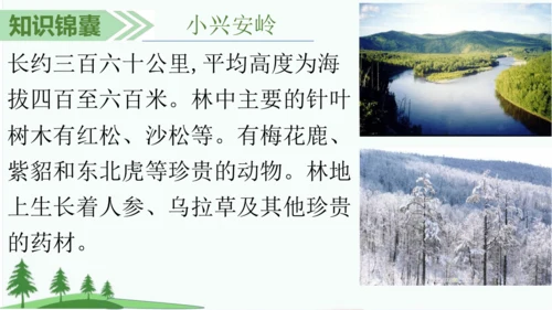 20.美丽的小兴安岭   课件