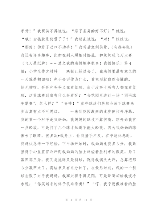 小学生作文材料范文九篇.docx