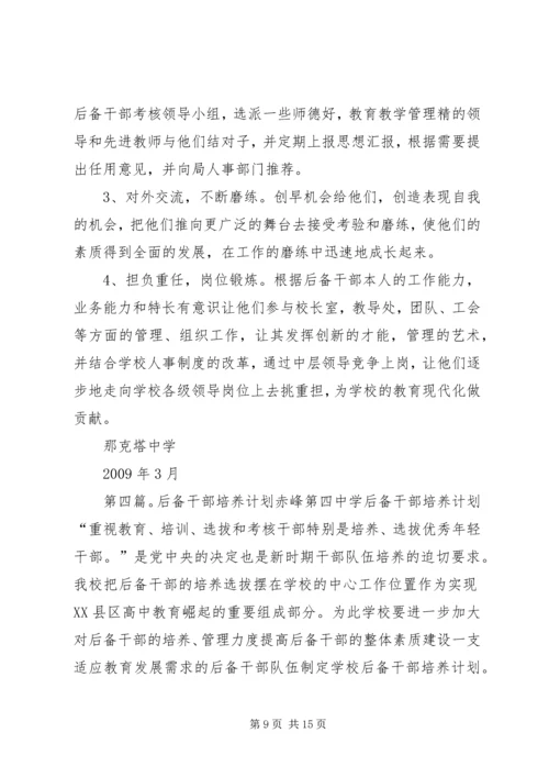 李子乡中心校培养后备干部工作计划.docx