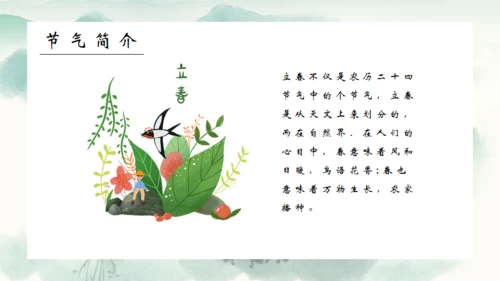 春风杨柳立春柳枝柳树通用PPT模板