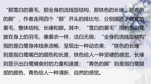 《1 白鹭》课件