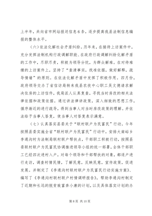 人民政府上半年依法行政工作汇报.docx