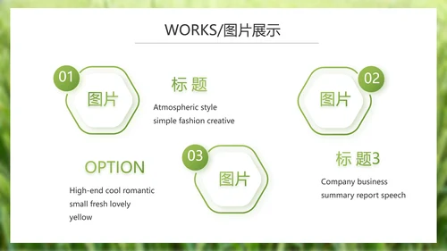 绿色农产品介绍宣传动态PPT模板