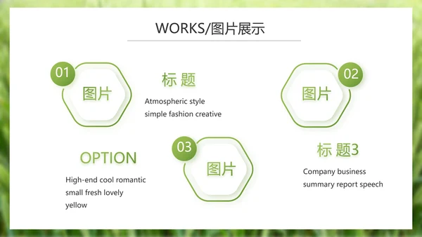 绿色农产品介绍宣传动态PPT模板