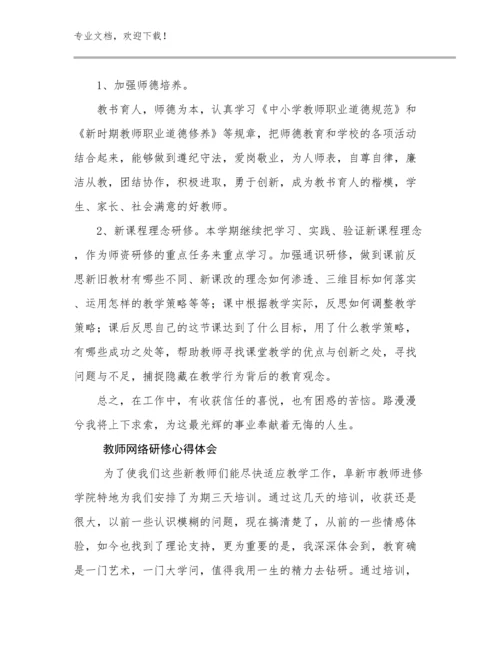 2024教师网络研修心得体会优选范文6篇.docx