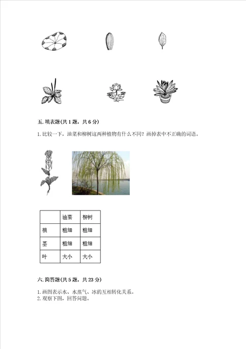 教科版科学一年级上册期末测试卷含完整答案历年真题