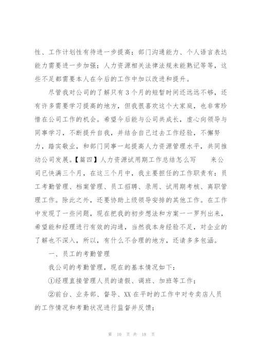 人力资源试用期工作总结怎么写.docx