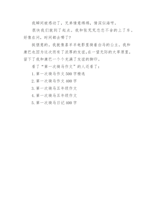 第一次骑马作文.docx