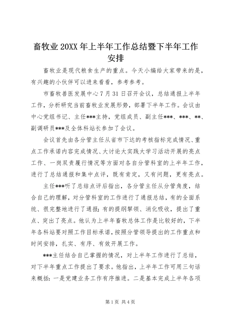 畜牧业20XX年上半年工作总结暨下半年工作安排.docx