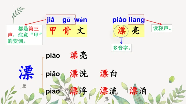 识字3 贝的故事（第一课时）课件