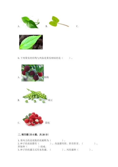 科学四年级下册第一单元《植物的生长变化》测试卷一套.docx