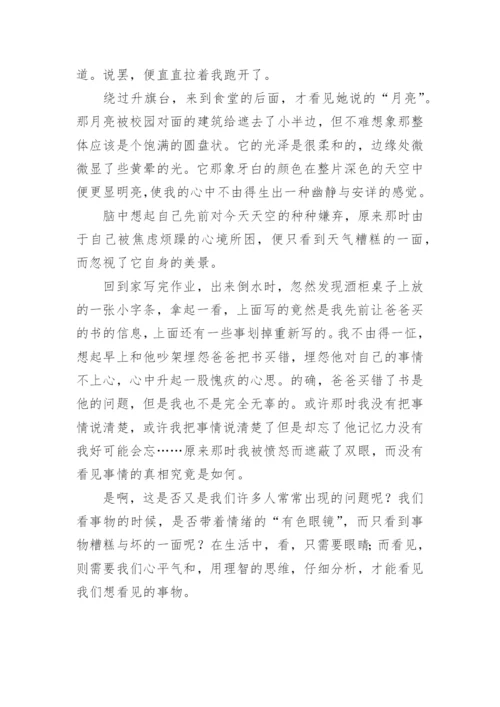 以看见为题的议论文.docx
