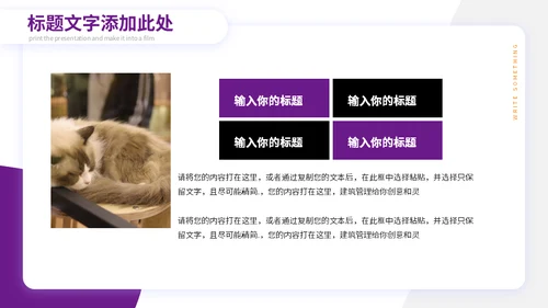 宠物小狗狗泰迪犬通用PPT模板