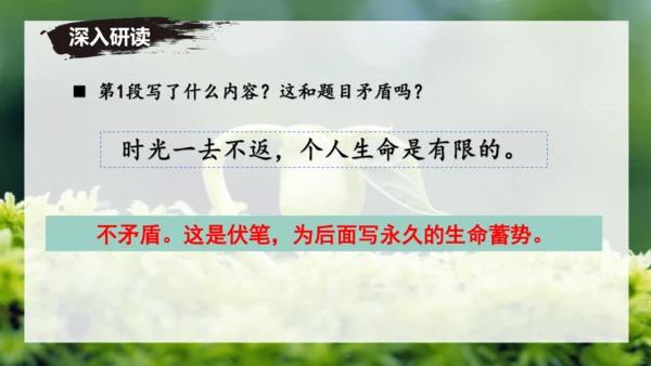 第16课 散文二篇 《永久的生命》课件