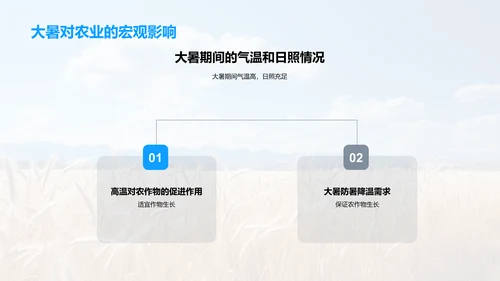 大暑农业生产