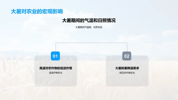 大暑农业生产